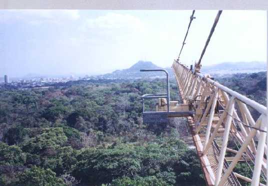 Panama Natural Park