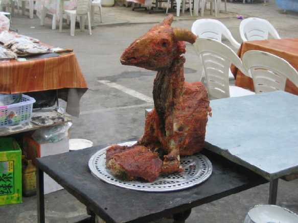 Barbecued sheep