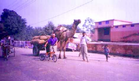 Mumz-camel.JPG (15089 bytes)