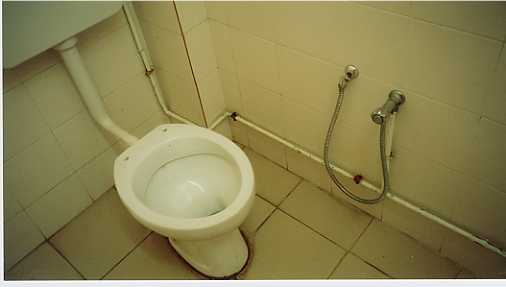 toilet.jpg (10693 bytes)