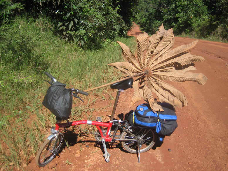 Biking through jungle.JPG (141582 bytes)